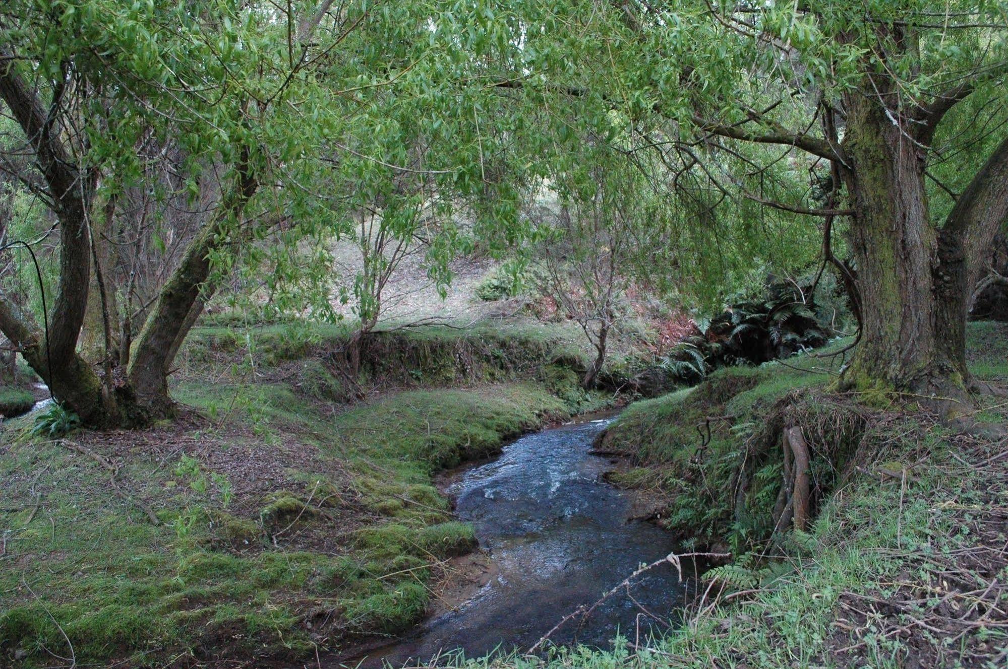 Karamu Valley Lodge المظهر الخارجي الصورة